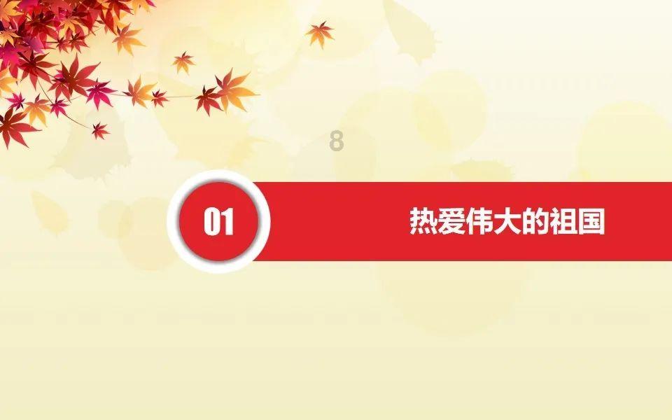 华友皮革：仓库中的皮革色号与纹路之美